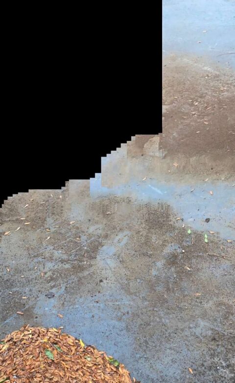 artwork by Paola Poletto